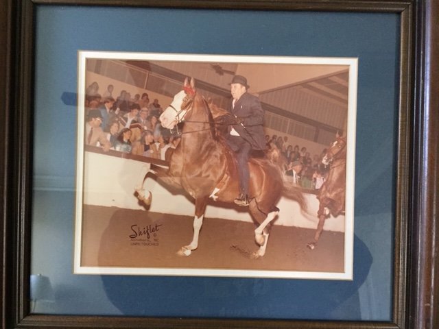 Horse Rider1.JPG
