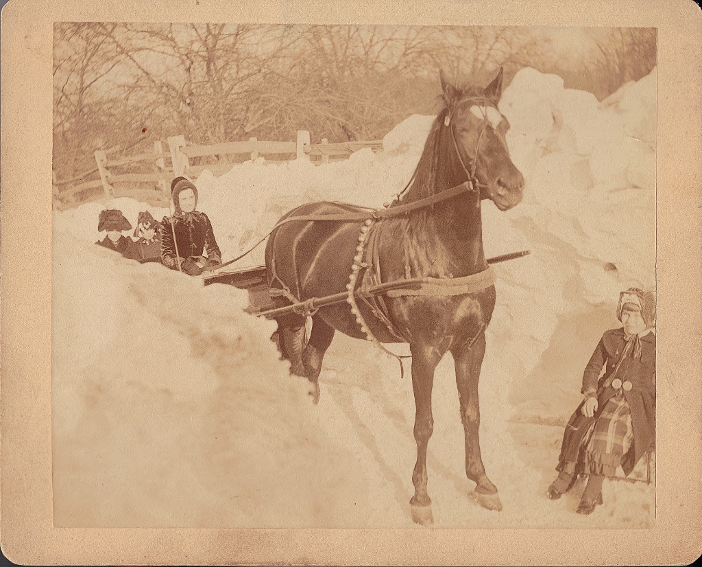 Horse wagon in snow (1024x826).jpg
