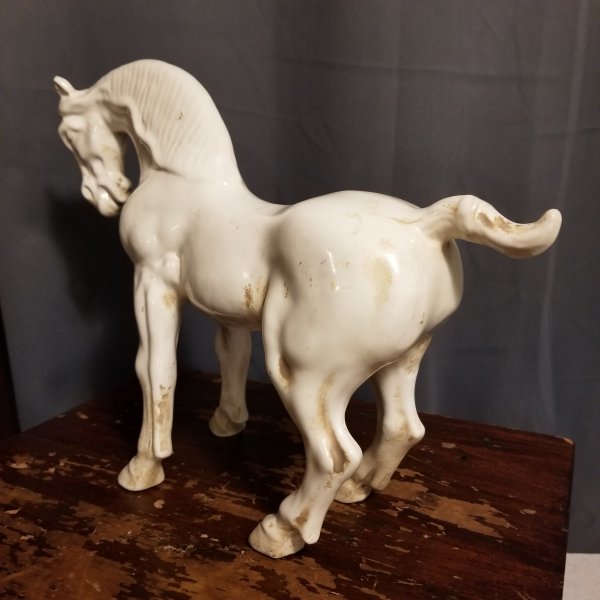 horse4.jpg
