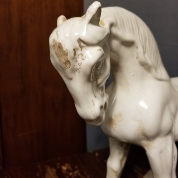 horse6.jpg