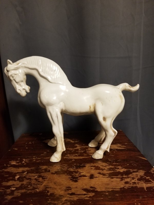 horse7.jpg