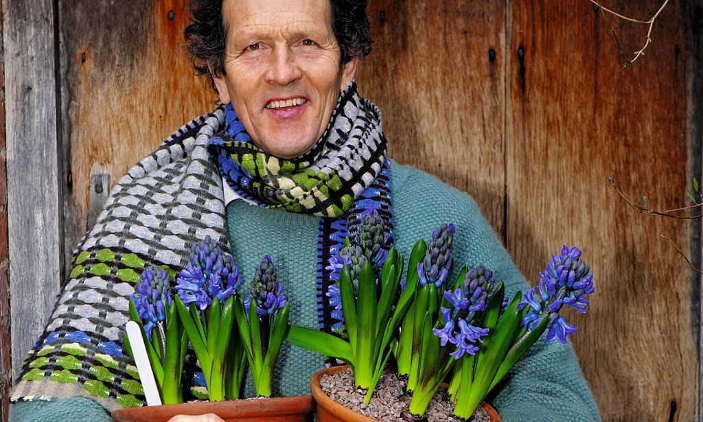 Hyacinths Monty Don.jpg