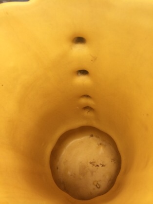 image.jpg