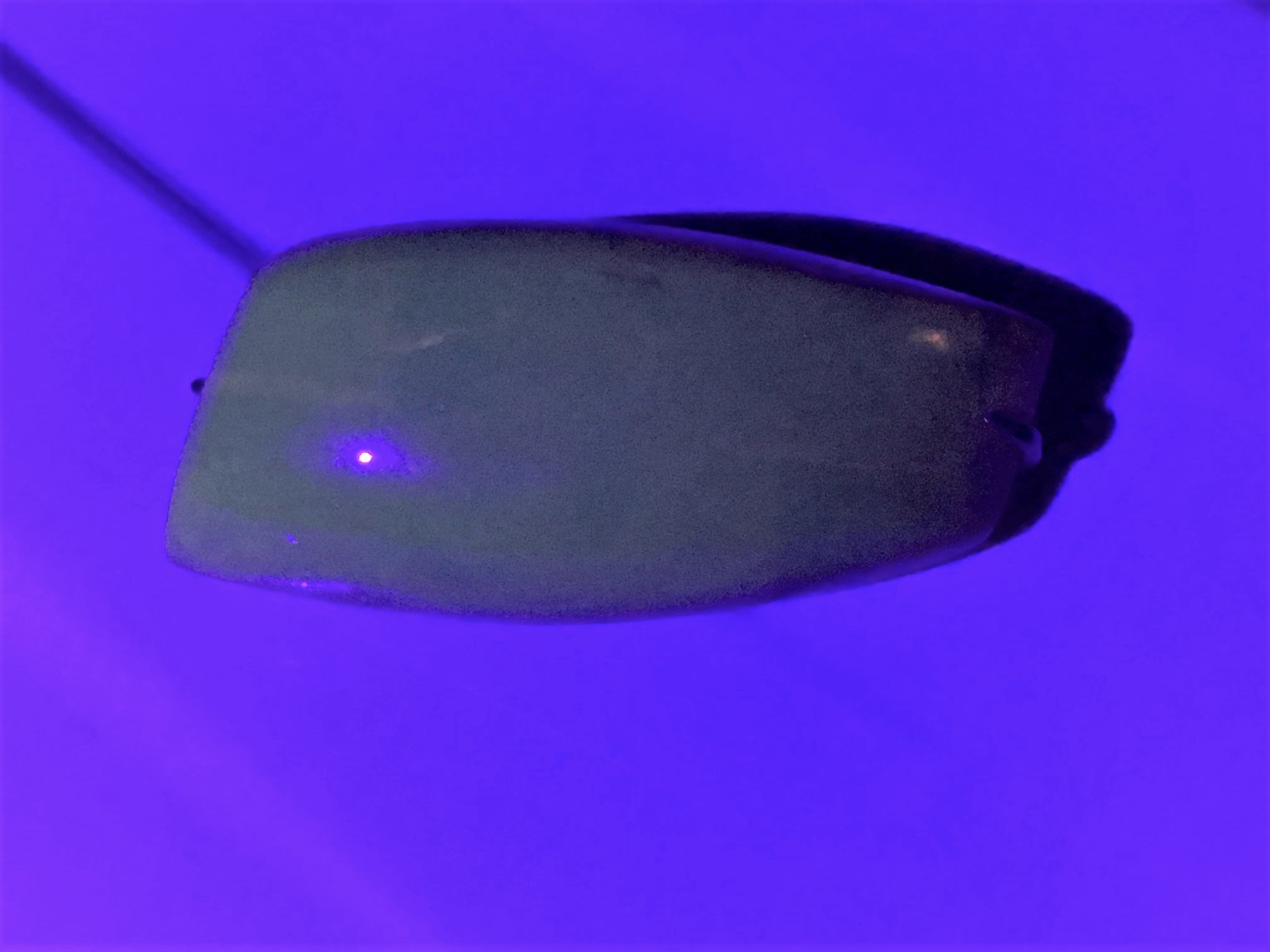 image0 (13).jpeg