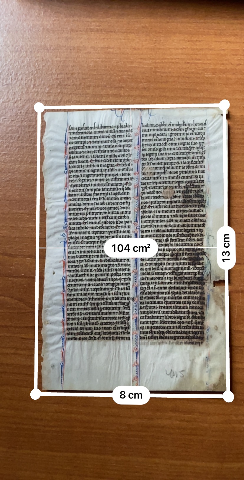 Manuscript page, Paris Bible 1250 AD Uterine vellum Antiques Board