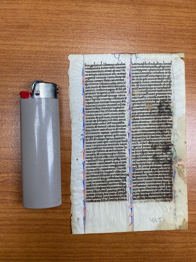 Manuscript page, Paris Bible 1250 AD Uterine vellum Antiques Board