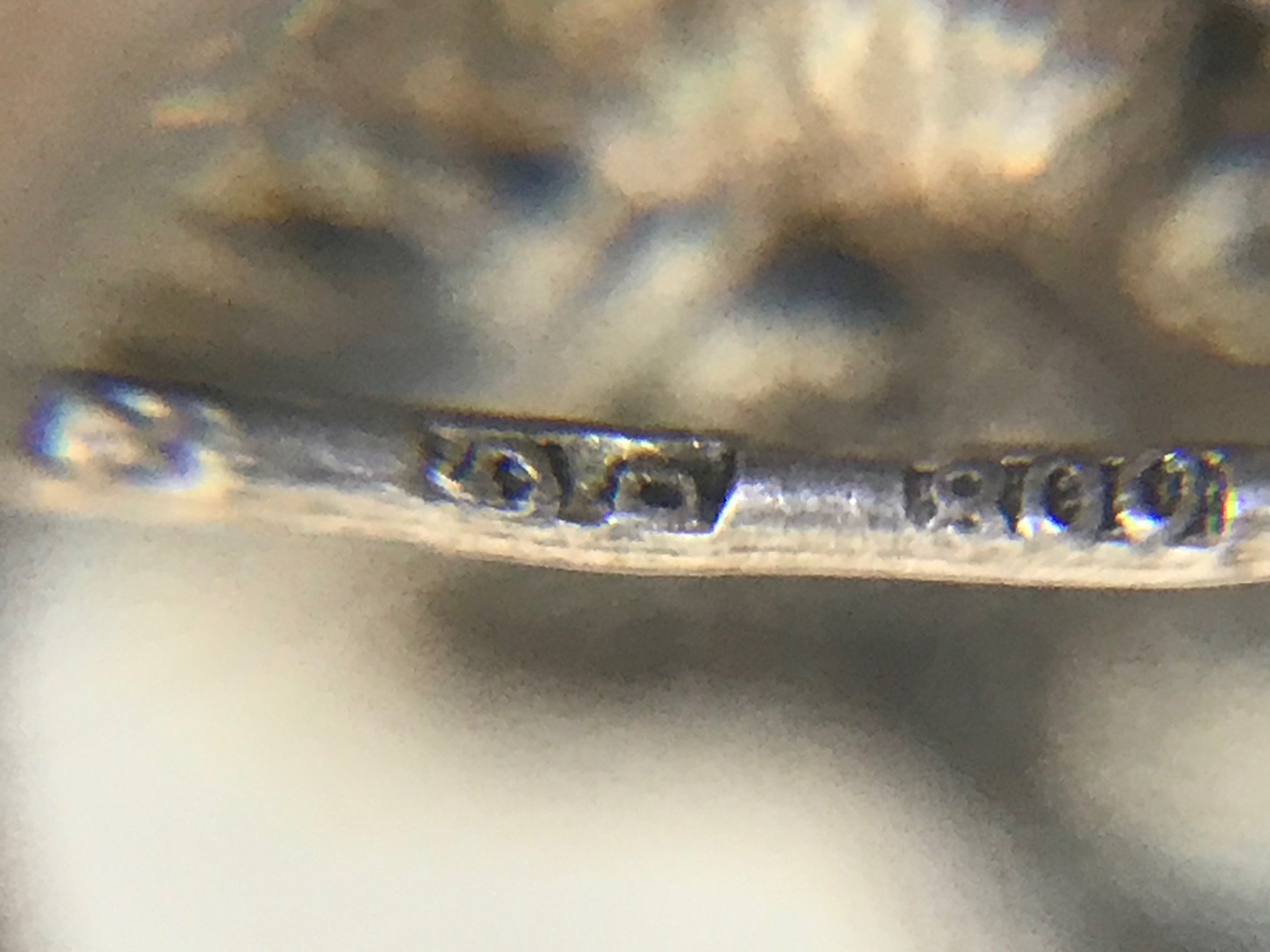 image2 (46).jpeg