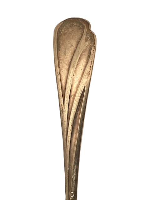 image5.jpg