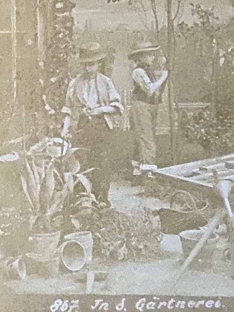 image8.jpeg