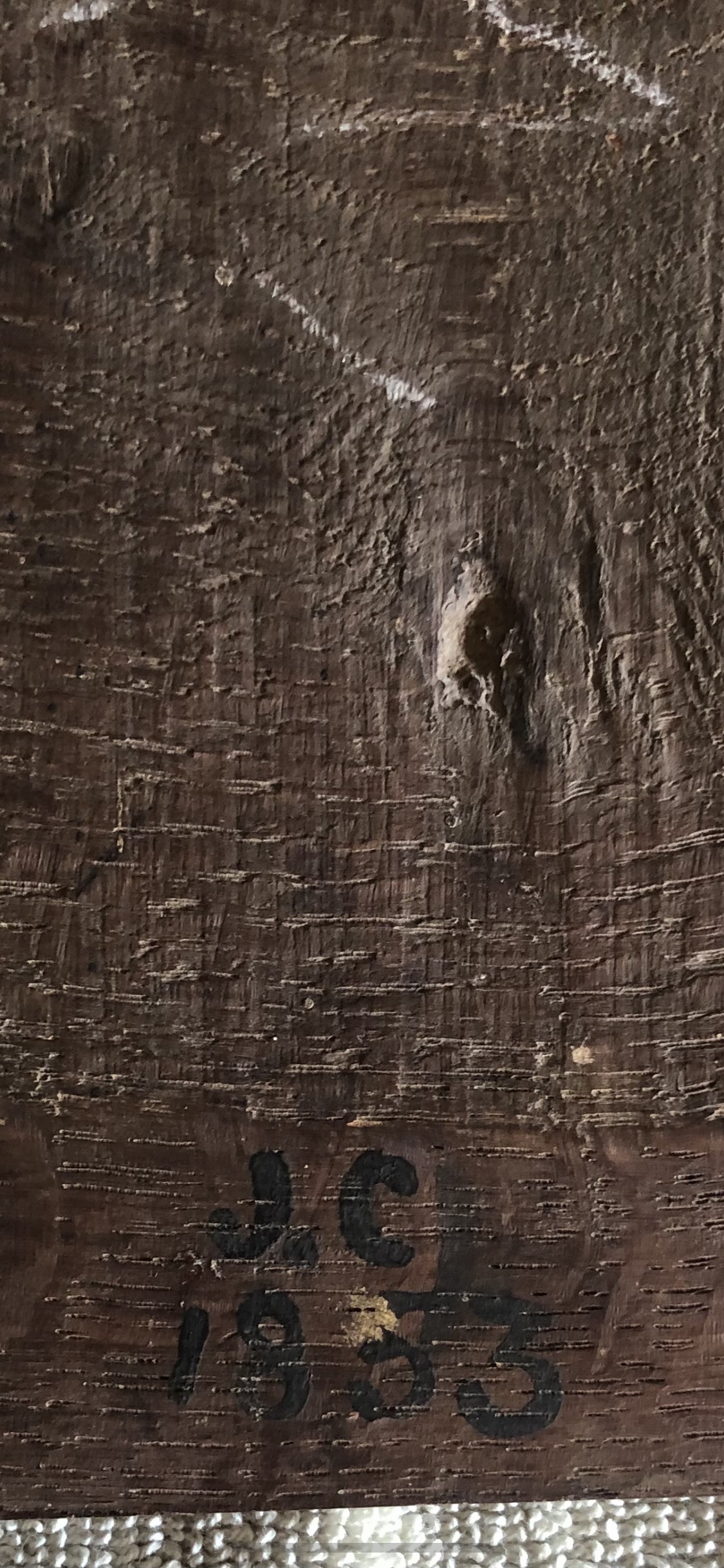 image_123986672 (1).JPG