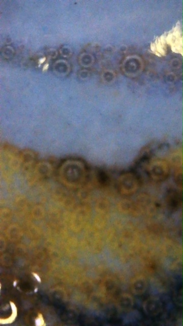 Image_2020-04-08 20_18_20_781.JPG