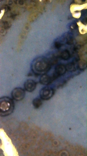 Image_2020-04-08 20_18_40_961.JPG