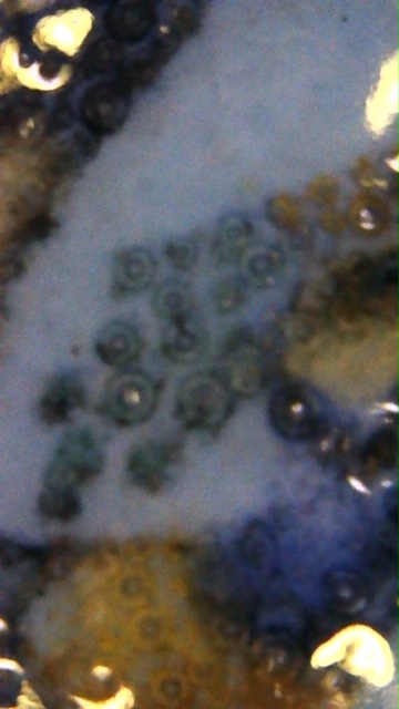 Image_2020-04-08 20_19_14_771.JPG