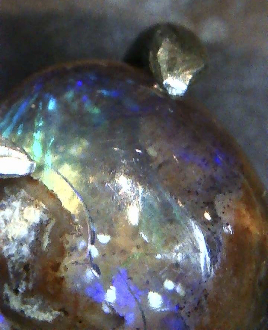 Image_2020-07-12 22_45_29_066.JPG