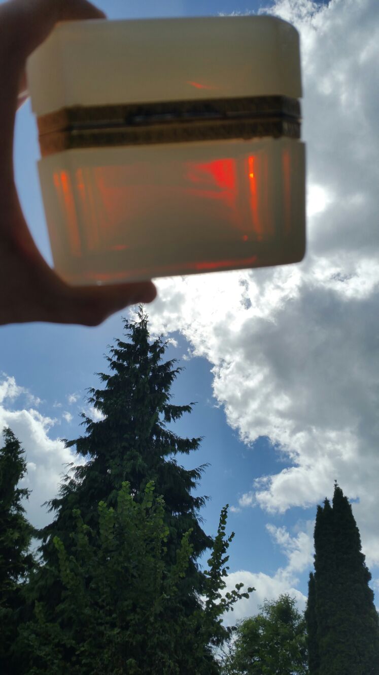 IMG-20170803-WA0017.jpg