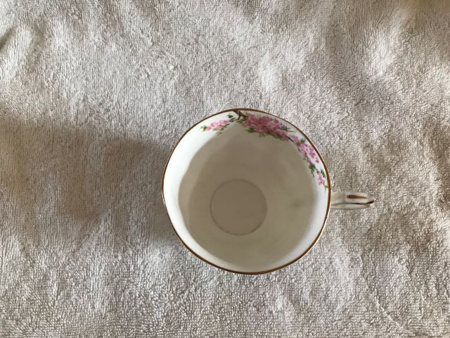 IMG-8630.jpg