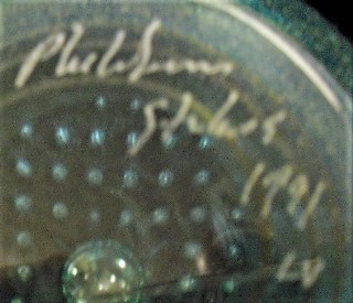 img0 (11).jpg