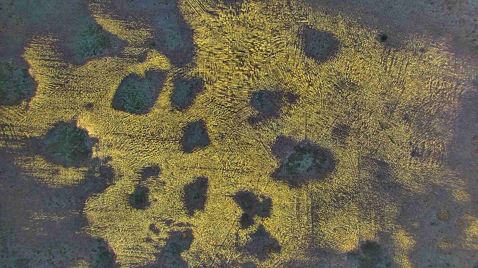 IMG00000.JPG