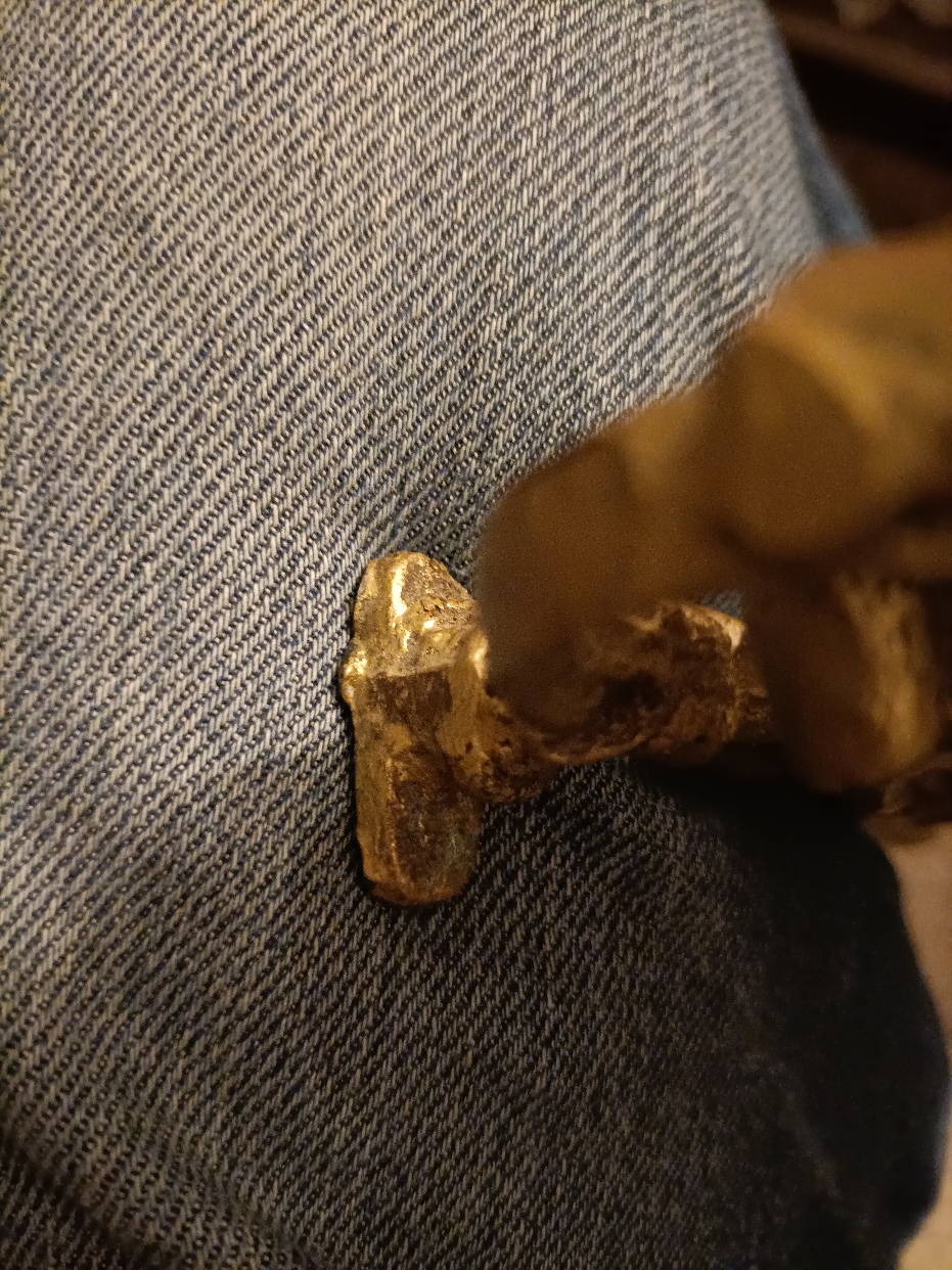 IMG20231119055410_copy_931x1242.jpg