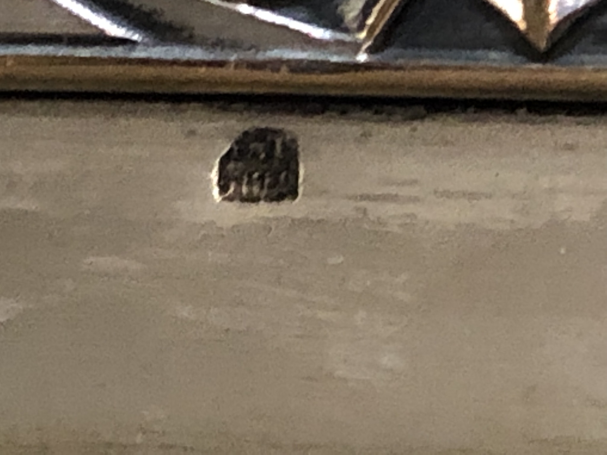 IMG_0194.JPEG