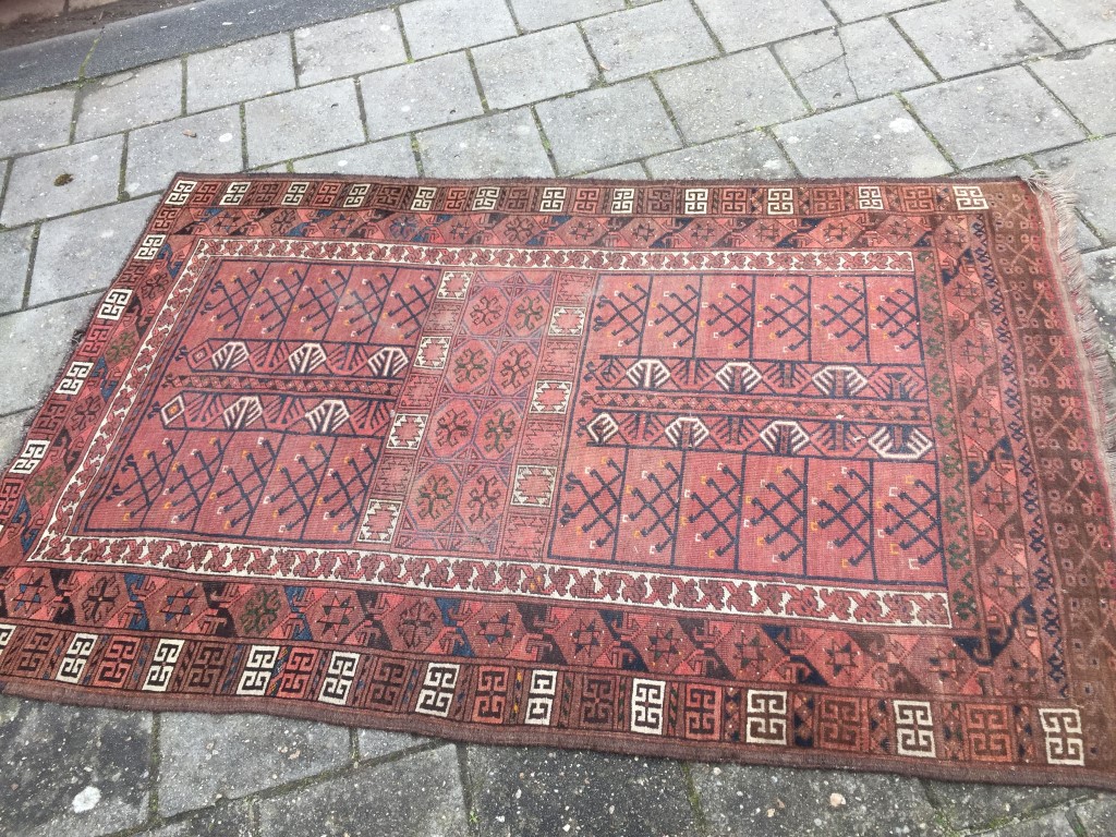 IMG_0286 (Medium).JPG