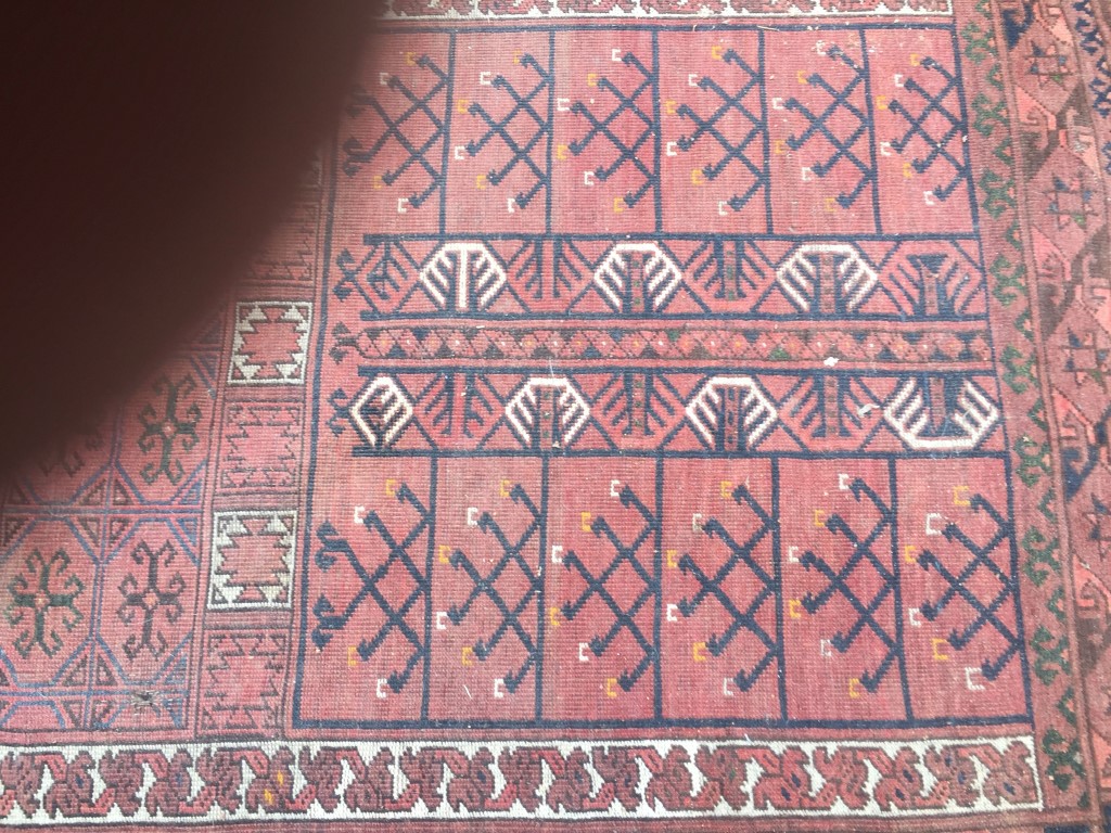 IMG_0287 (Medium).JPG