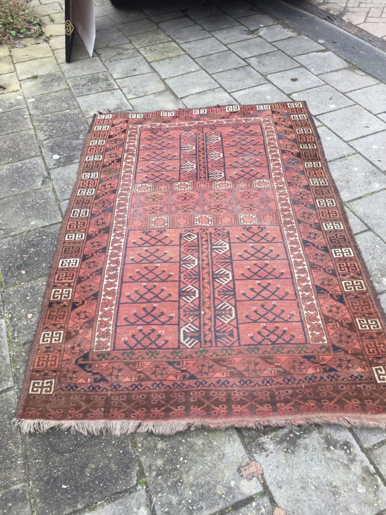 IMG_0288 (Medium).JPG