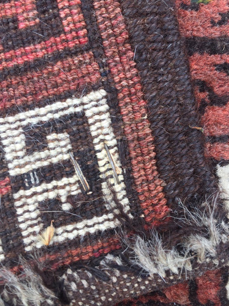 IMG_0292 (Medium).JPG