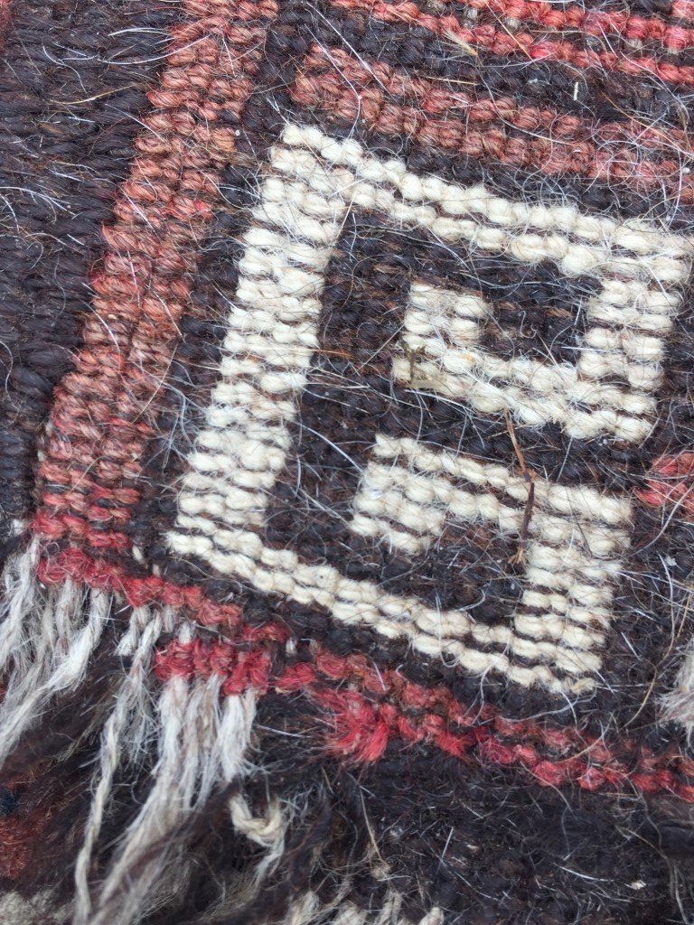 IMG_0293 (Medium).JPG