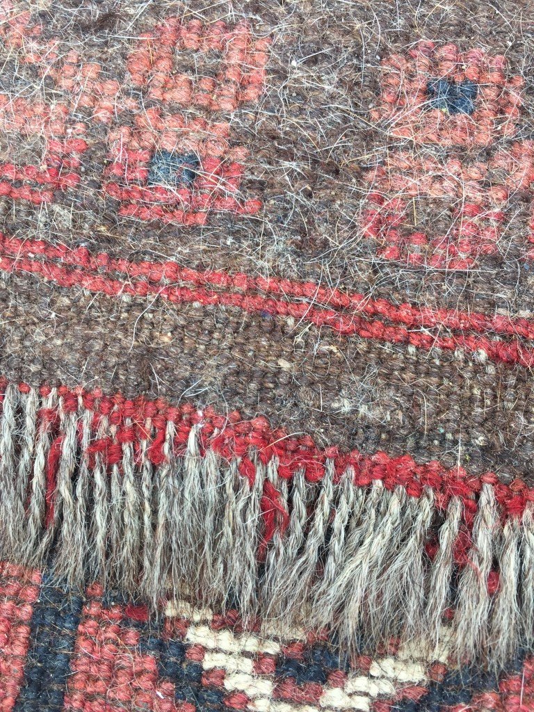 IMG_0296 (Medium).JPG