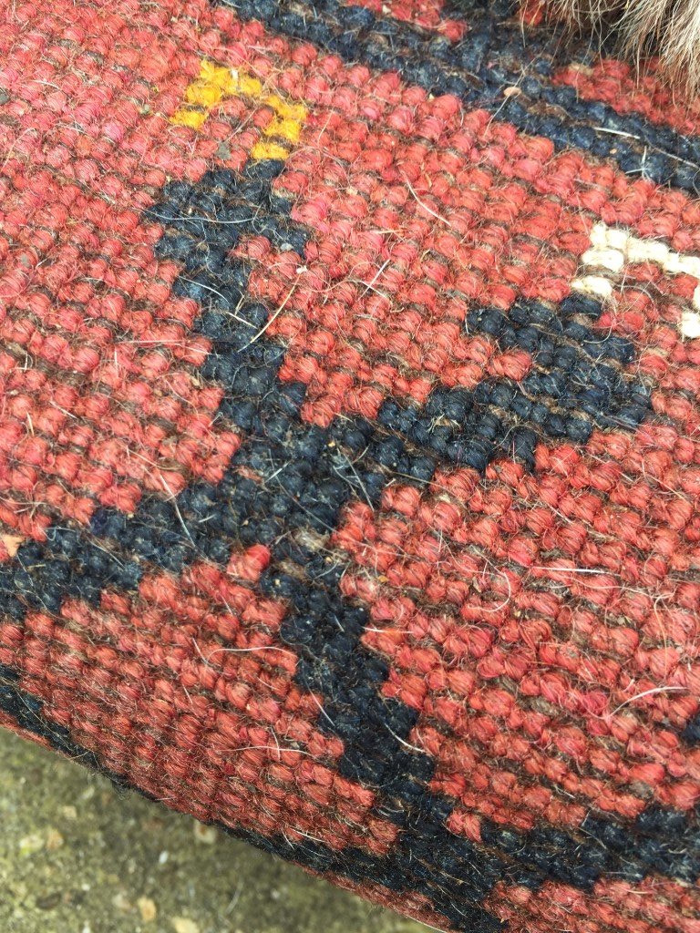 IMG_0297 (Medium).JPG