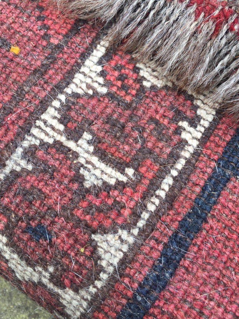 IMG_0298 (Medium).JPG