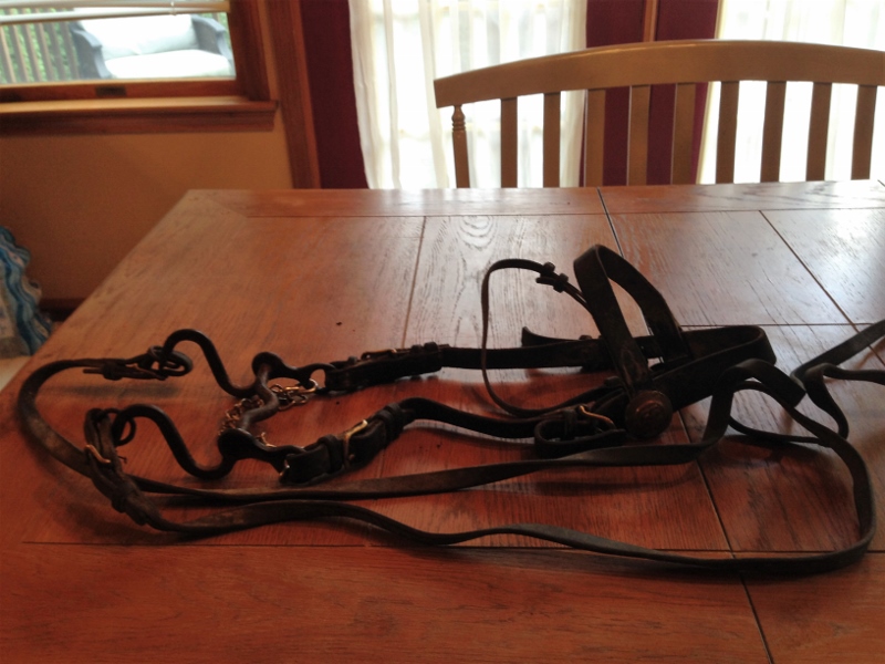 IMG_0612 (2) (800x600).jpg