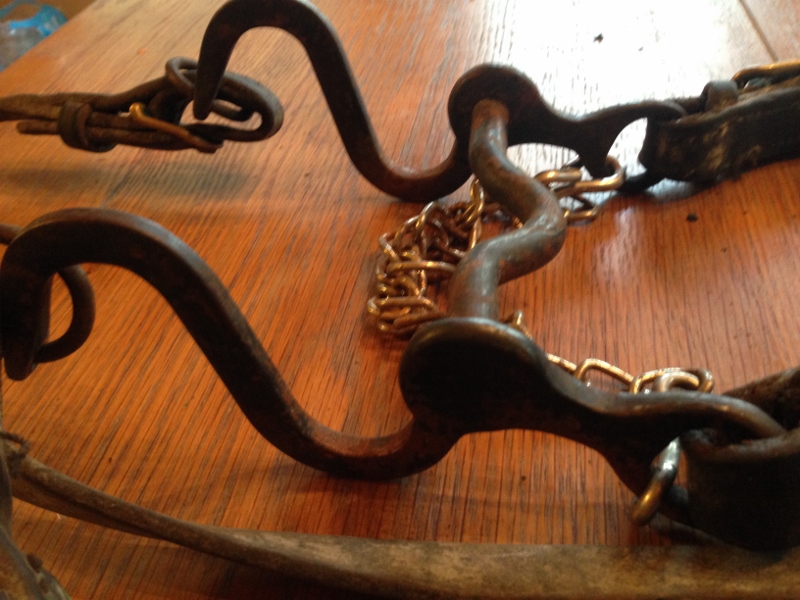 IMG_0614 (800x600).jpg