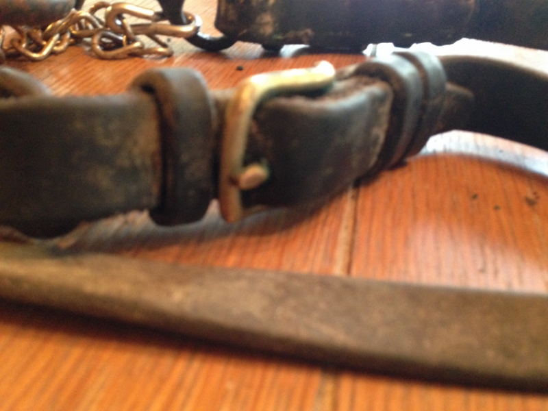 IMG_0616 (800x600).jpg