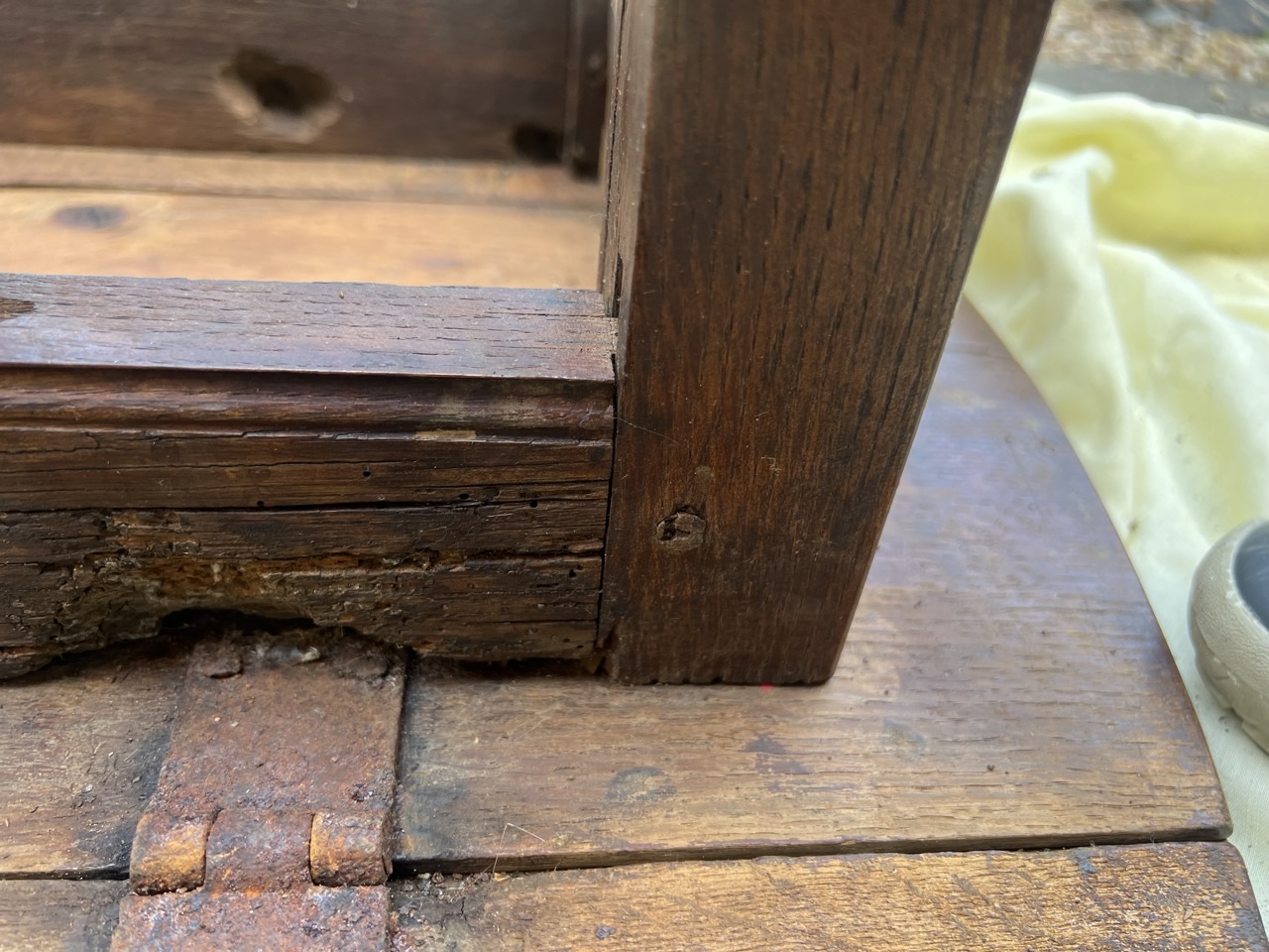 IMG_0945 Large 2.jpeg