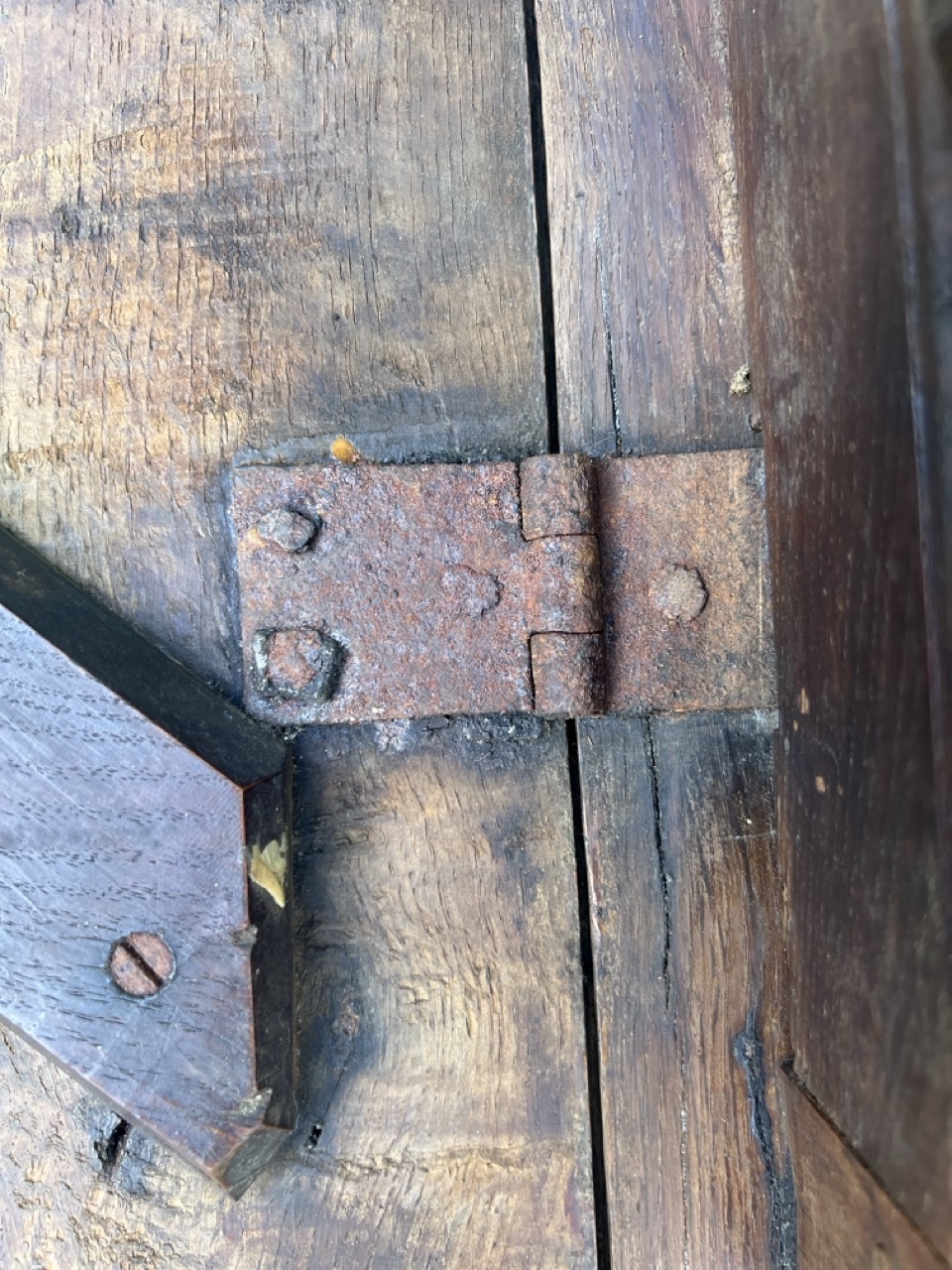 IMG_0948 Large 2.jpeg