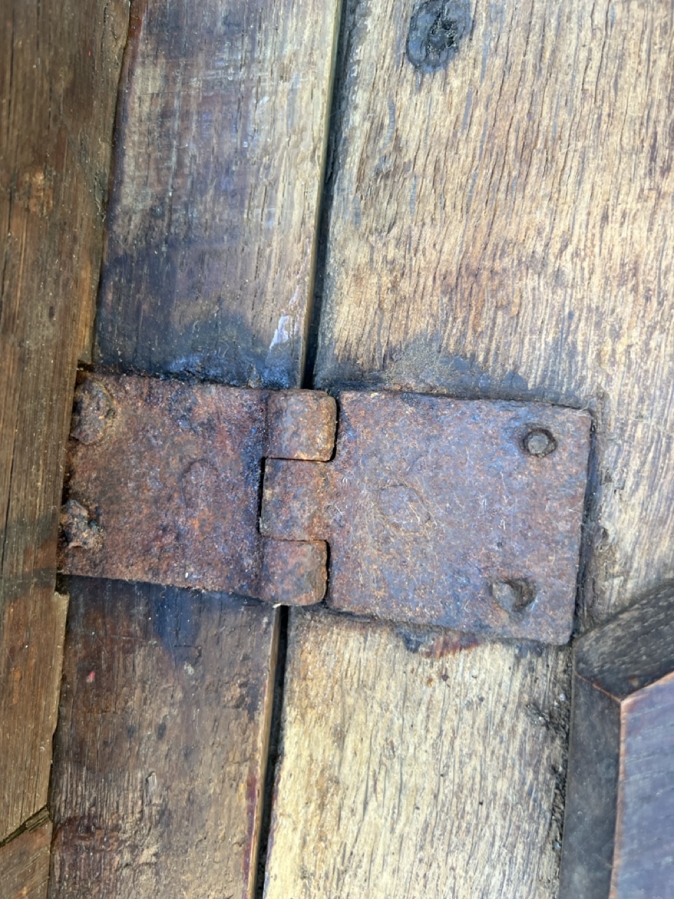 IMG_0949 Large 2.jpeg