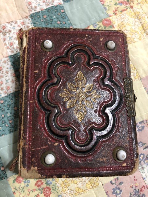 IMG_1148 (Small).JPG