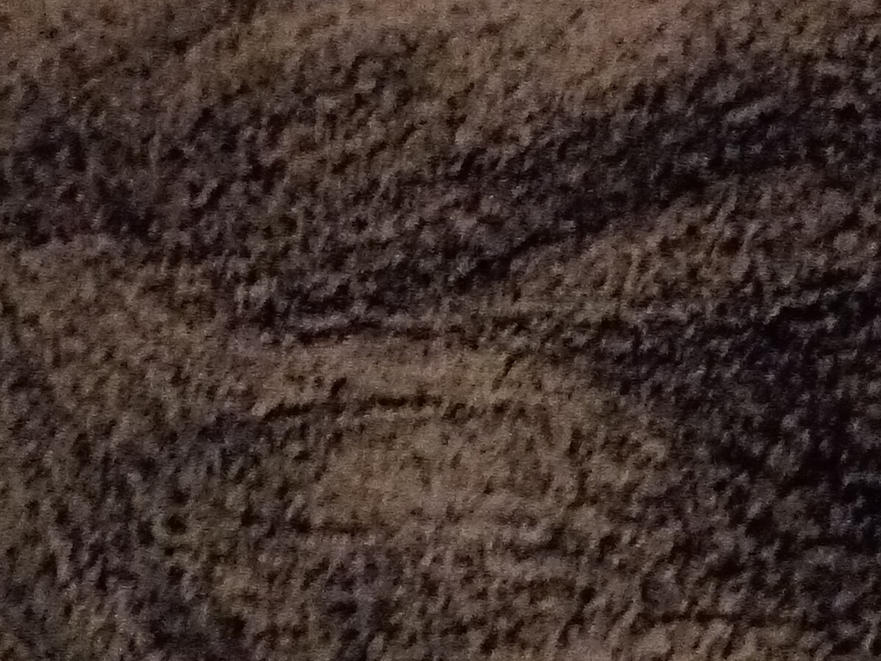 IMG_20190927_195803_Easy-Resize.com.jpg