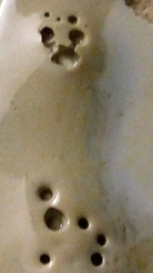 IMG_20191219_043725.jpg