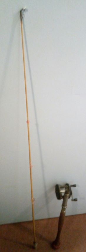 IMG_20201224_012505.jpg
