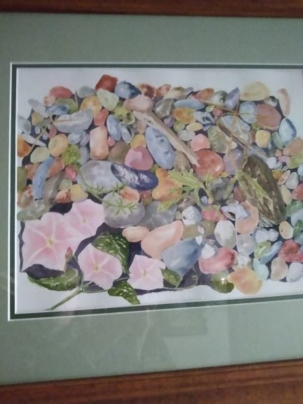IMG_20211227_120128826.jpg