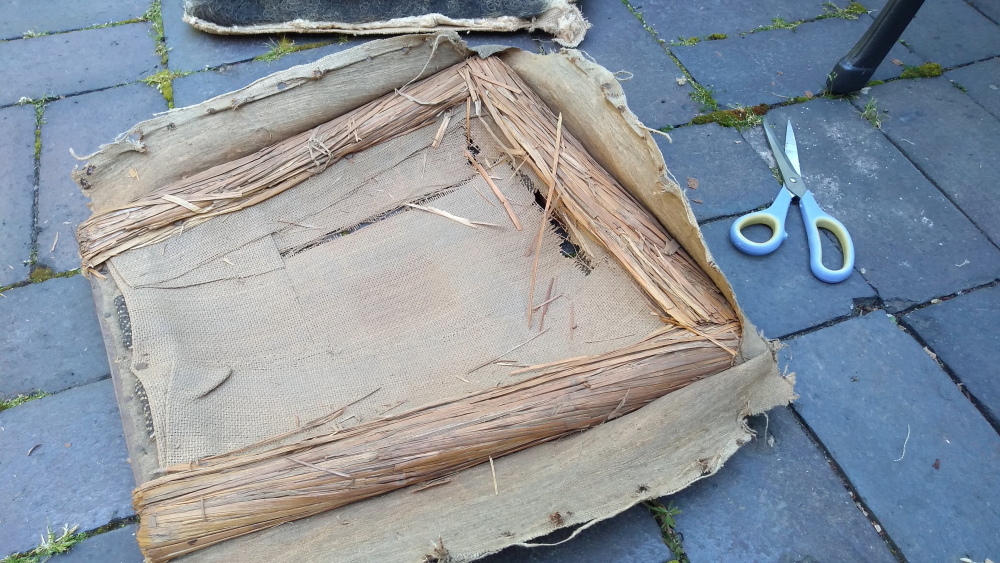 IMG_20220622_102316802 (1).jpg