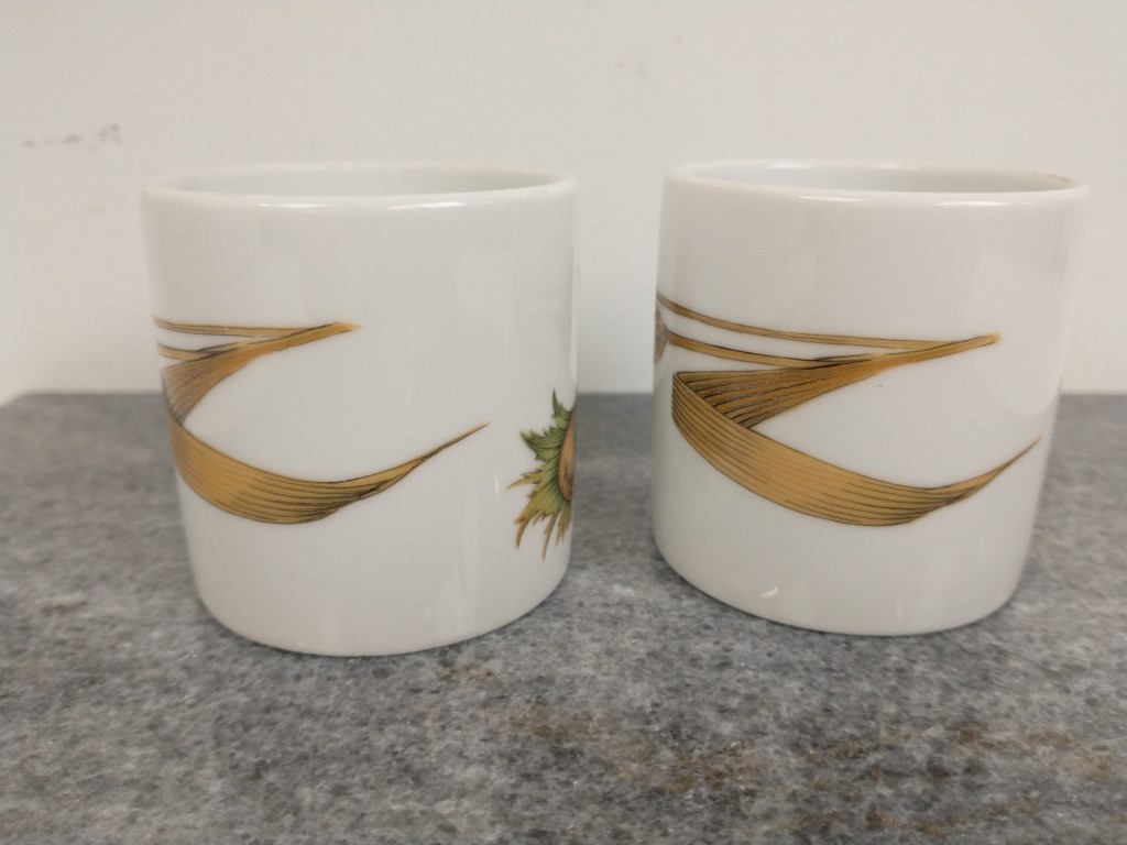 IMG_20231202_174337667 (Medium).jpg