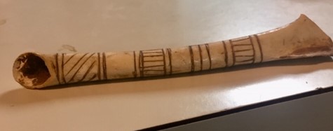 IMG_4027 (1) - Copy.jpg