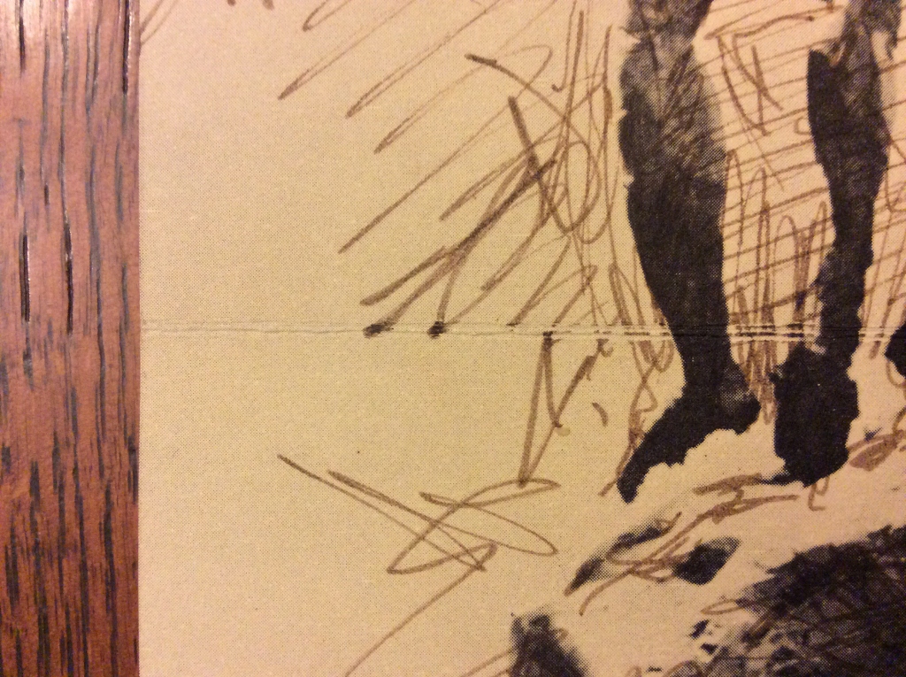 IMG_4354 (1024x765).jpg