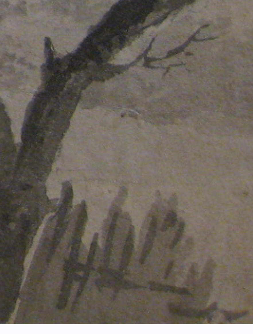 IMG_5310.jpeg