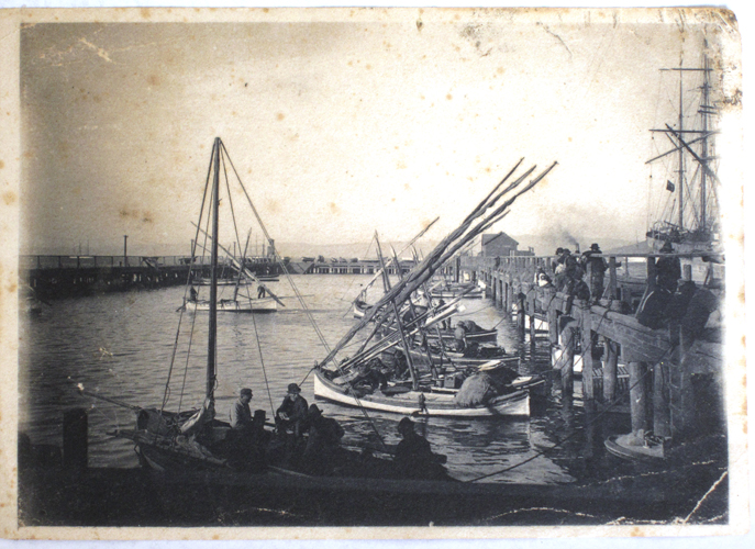 IMG_6752 copy copy.jpg