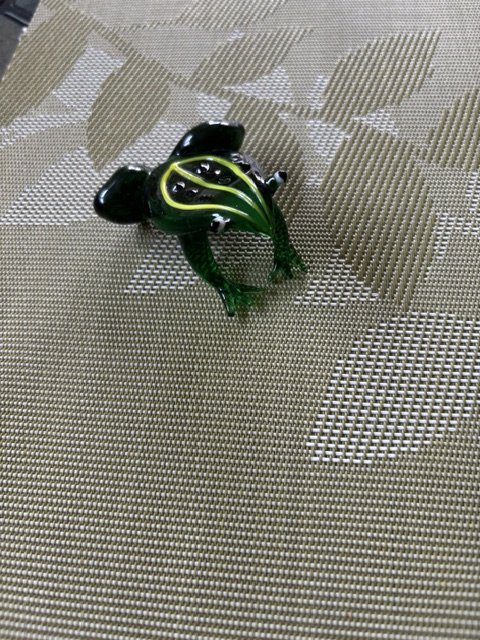 IMG_6846.jpeg